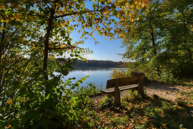 复兴的关键 复兴的关键