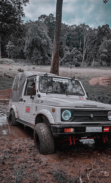 全场比赛 全场比赛