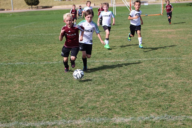 深远的文化 深远的文化