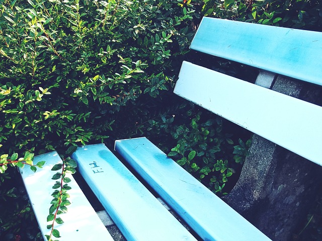 内的顶级豪 内的顶级豪